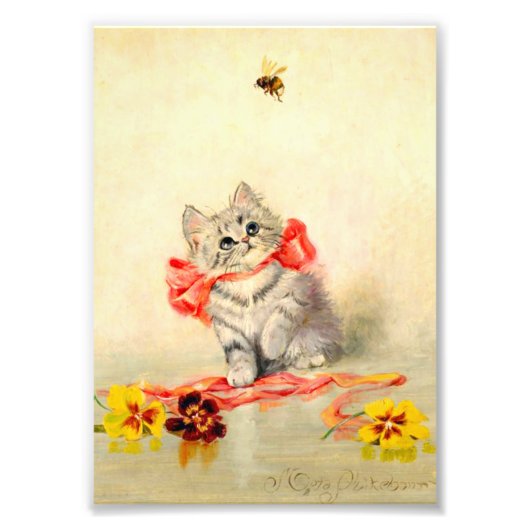Kitten met een rood lint foto afdruk (Voorkant)