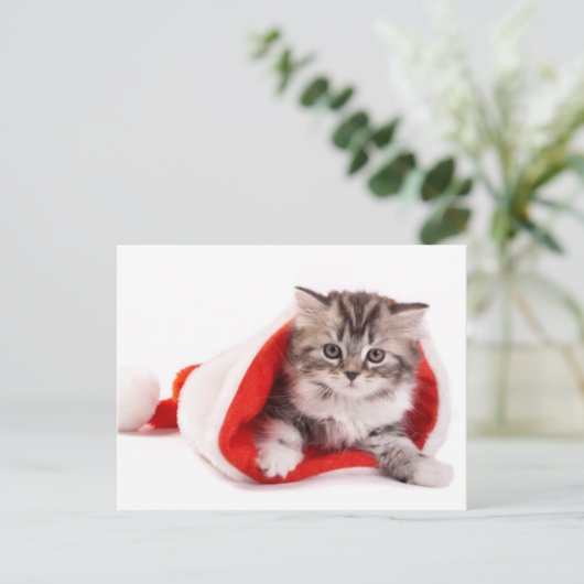 Kitten met een Santa Hat Feestdagenkaart (Staand voorkant)