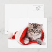 Kitten met een Santa Hat Feestdagenkaart (Voorkant / Achterkant)