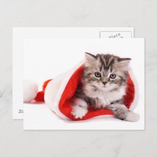 Kitten met een Santa Hat Feestdagenkaart (Voorkant / Achterkant)
