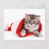 Kitten met een Santa Hat Feestdagenkaart (Voorkant)