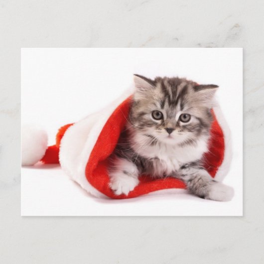 Kitten met een Santa Hat Feestdagenkaart (Voorkant)