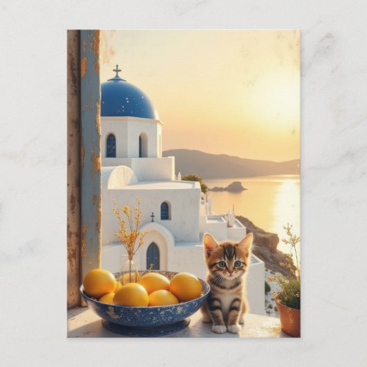 Kitten met een uitzicht van zonsondergang briefkaart (Voorkant)