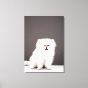 Kitten met Eyes gesloten Canvas Afdruk