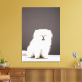 Kitten met Eyes gesloten Canvas Afdruk (Insitu (Woonkamer))