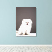 Kitten met Eyes gesloten Canvas Afdruk (Insitu (Houten vloer))