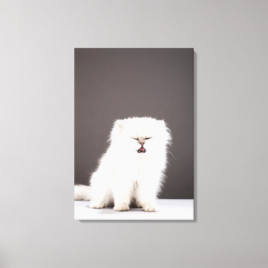 Kitten met Eyes gesloten Canvas Afdruk (Voorkant)