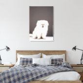 Kitten met Eyes gesloten Canvas Afdruk (Insitu (Slaapkamer))