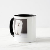 Kitten met Eyes gesloten Mok (Voorkant links)