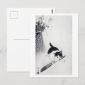 Kitten met Veer, Imao Keinen Briefkaart (Voorkant / Achterkant)