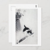 Kitten met Veer, Imao Keinen Briefkaart (Voorkant / Achterkant)