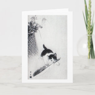 Kitten met Veer, Imao Keinen Kaart