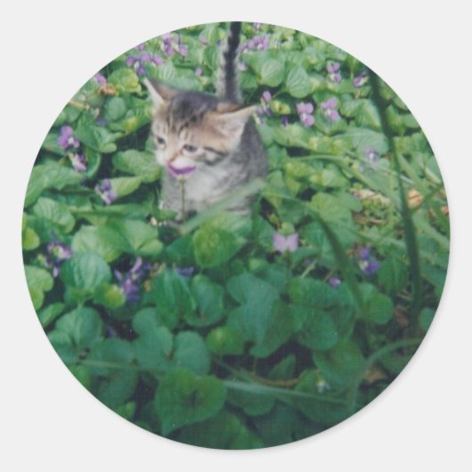 KITTEN MET VIOLETTE GLIMLACH RONDE STICKER (Voorkant)