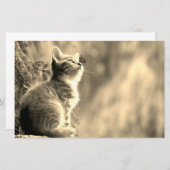 Kitten met vlindervriend briefpapier (Voorkant / Achterkant)