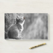 Kitten met vlindervriend post-it® notes (Op bureau)