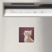 Kitten met whiskers magneet (Insitu (Vaatwasser))