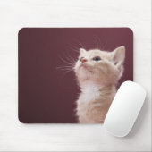 Kitten met whiskers muismat (Met muis)