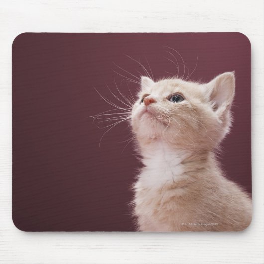 Kitten met whiskers muismat (Voorkant)