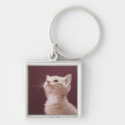 Kitten met whiskers sleutelhanger (Voorkant)