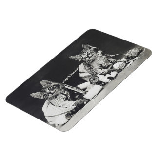 Kitten Mischief Makers 1914 Magneet