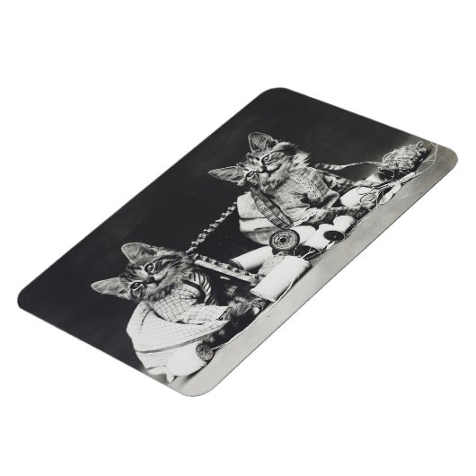 Kitten Mischief Makers 1914 Magneet (Linkerzijde)