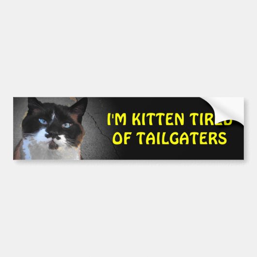 Kitten Moe van Aanhangers Kattenstandje Het Bumpersticker (Voorkant)