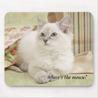 kitten mousemat muismat