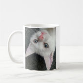 Kitten Mug, Funny Mug Koffiemok (Links)