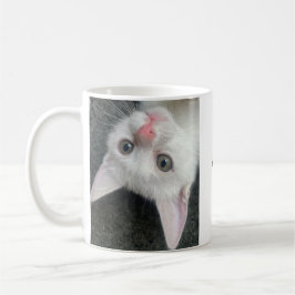 Kitten Mug, Funny Mug Koffiemok