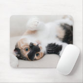 Kitten Muismat (Met muis)