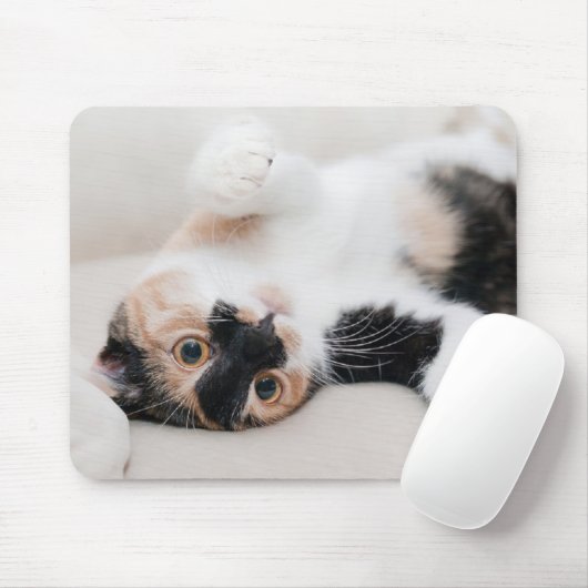 Kitten Muismat (Met muis)