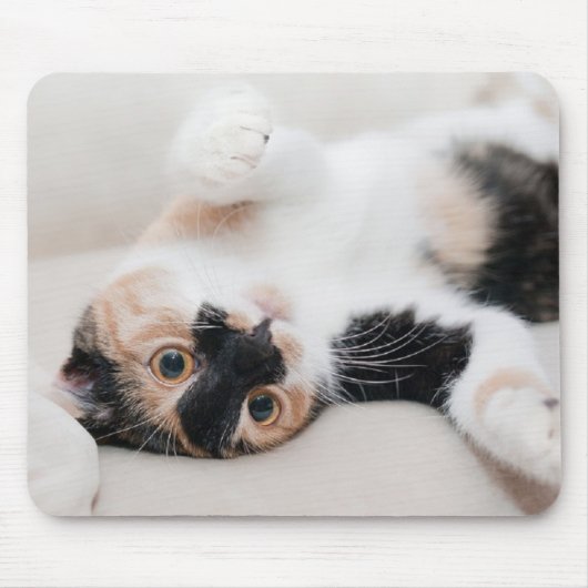 Kitten Muismat (Voorkant)