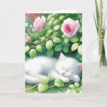 Kitten Napping Onder Rosebush Verjaardag