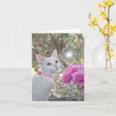  Kitten Note Kaart (Gele Bloem)