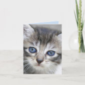 Kitten Note Kaart (Voorkant)