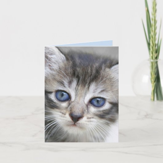 Kitten Note Kaart (Voorkant)