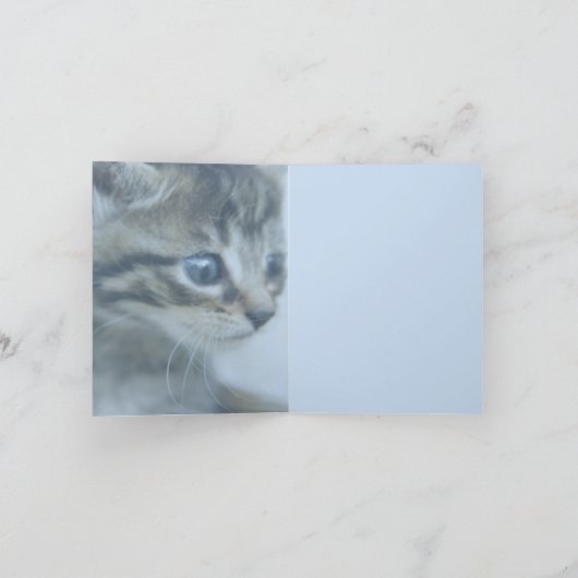 Kitten Note Kaart (Binnen)