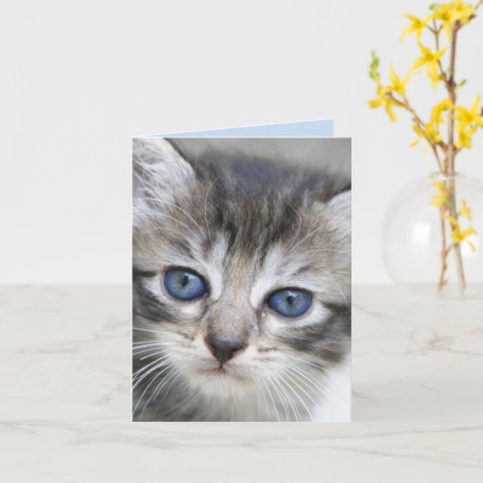 Kitten Note Kaart (Gele Bloem)