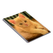 Kitten Notitieboek (Rechterzijde)
