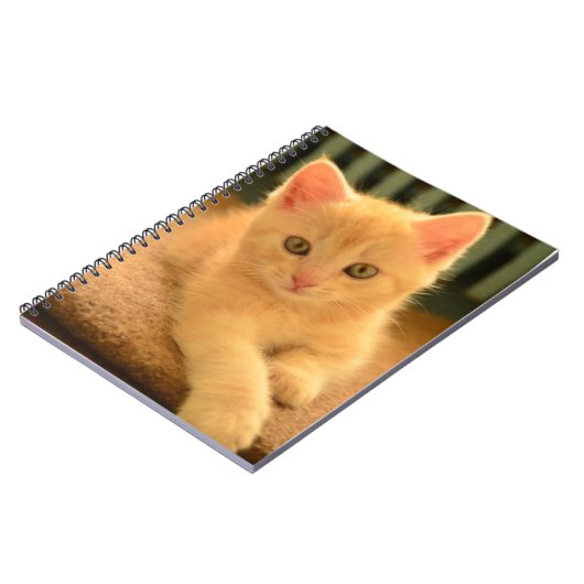 Kitten Notitieboek (Linkerzijde)