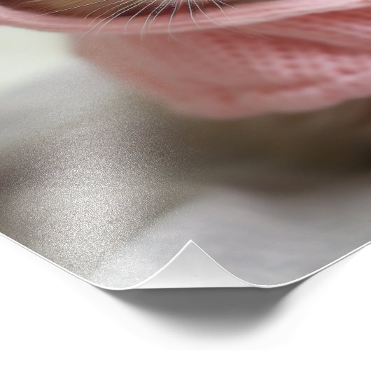 Kitten Nursery- en kinderkamerprints Foto Afdruk (Hoek)