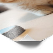 Kitten Nursery & Kinderkamer Prints Foto Afdruk (Hoek)