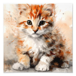 Kitten Nursery & Kinderkamer Prints Foto Afdruk