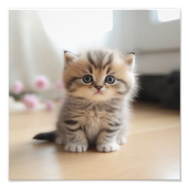 Kitten Nursery & Kinderkamer Prints Foto Afdruk