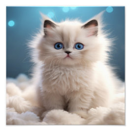 Kitten Nursery & Kinderkamer Prints Foto Afdruk