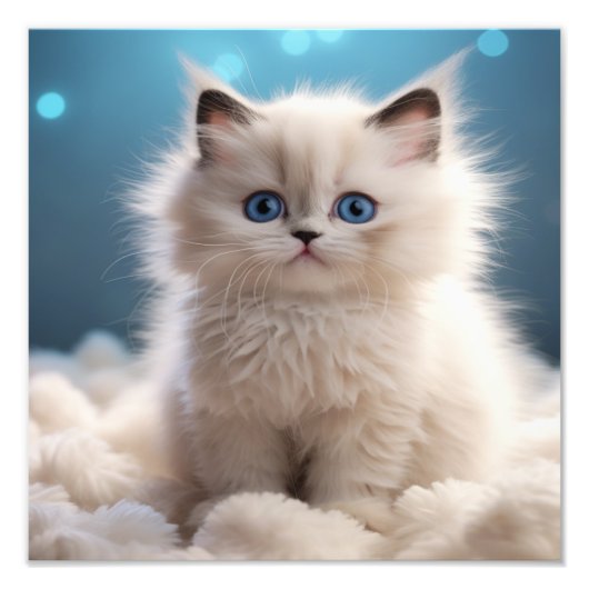 Kitten Nursery & Kinderkamer Prints Foto Afdruk (Voorkant)