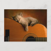kitten-on-guitar briefkaart (Voorkant)