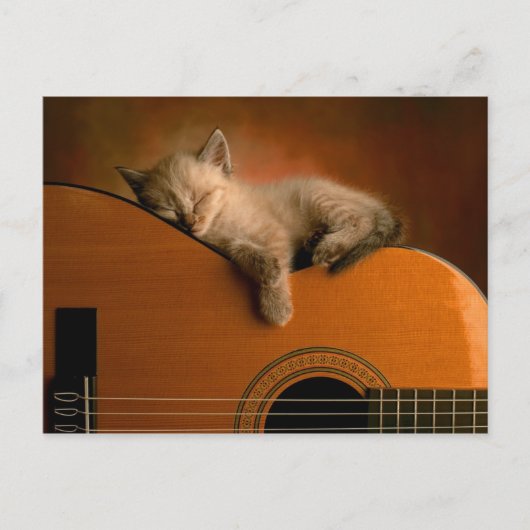 kitten-on-guitar briefkaart (Voorkant)