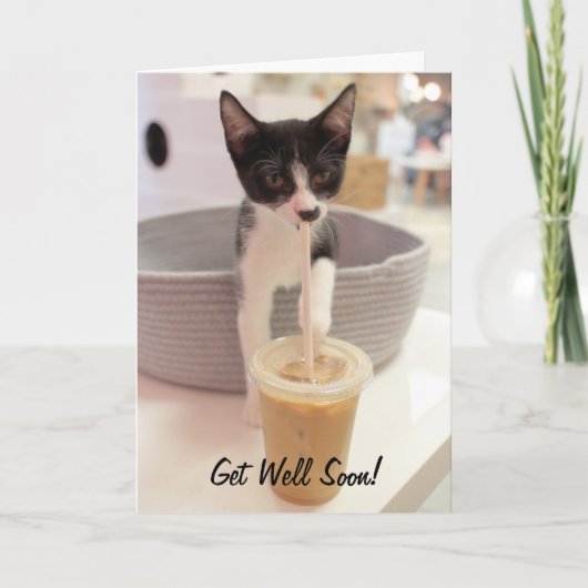 Kitten op de koffie kaart (Voorkant)