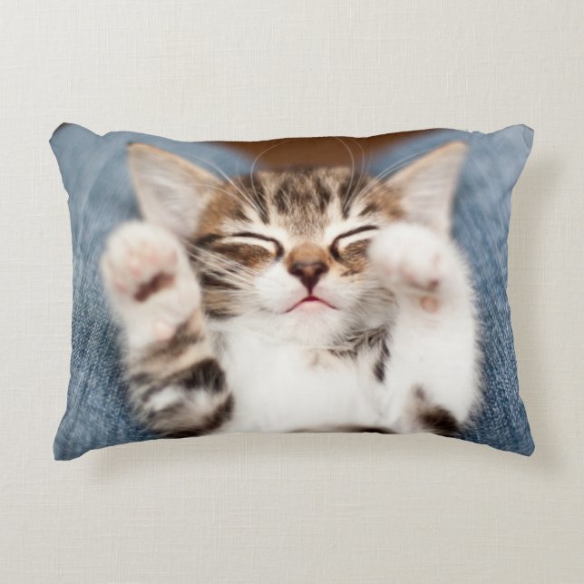 Kitten op mijn lab accent kussen (Voorkant)